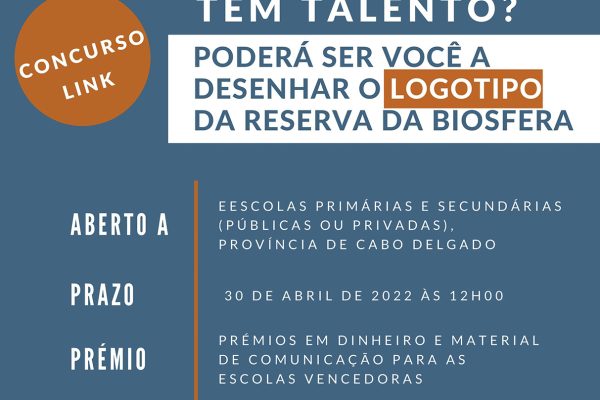 Sem Título-1