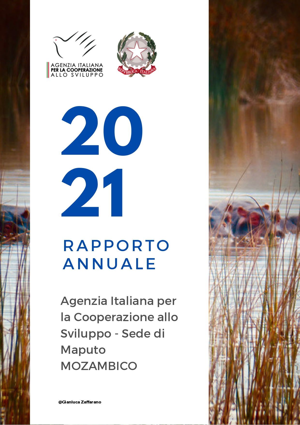 Annual Report 2021