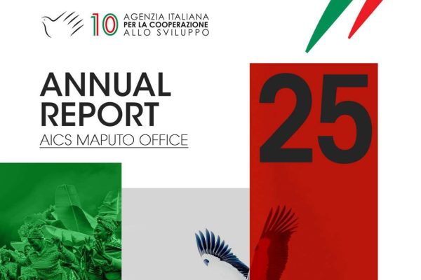 Annual Report 2025 IN Small (3)_compressed-1 (1)_page-0001