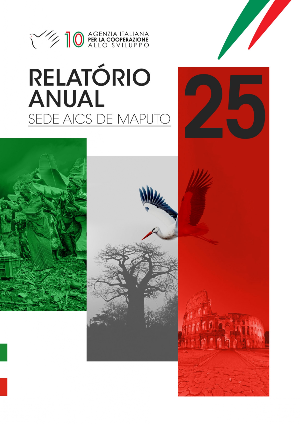 Relatório Anual 2025